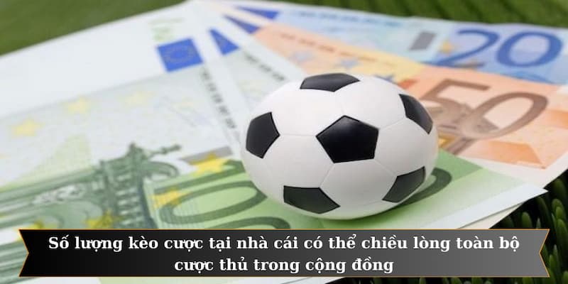 Số lượng kèo cược tại nhà cái có thể chiều lòng toàn bộ cược thủ trong cộng đồng
