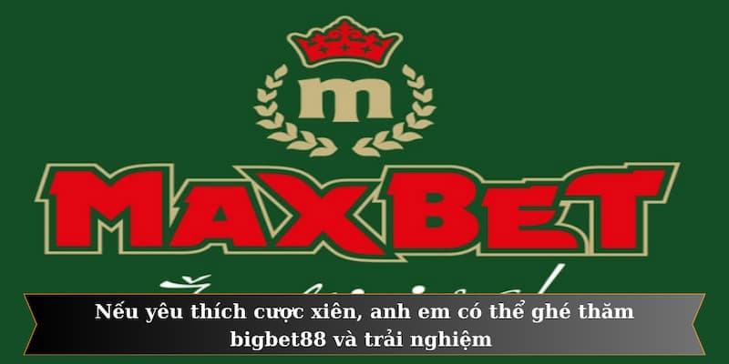Nếu yêu thích cược xiên, anh em có thể ghé thăm bigbet88 và trải nghiệm