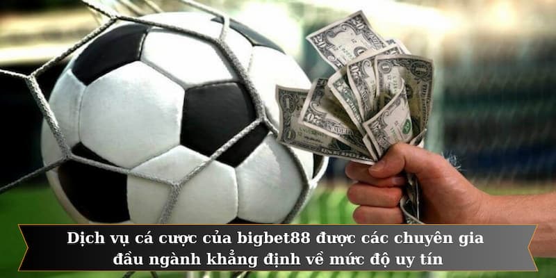 Dịch vụ cá cược của bigbet88 được các chuyên gia đầu ngành khẳng định về mức độ uy tín
