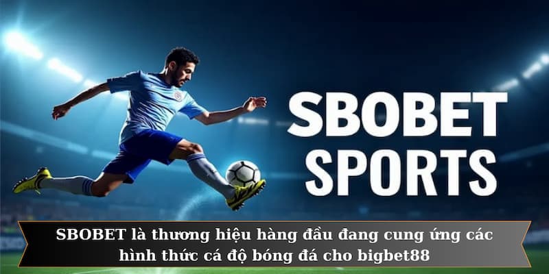 SBOBET là thương hiệu hàng đầu đang cung ứng các hình thức cá độ bóng đá cho bigbet88